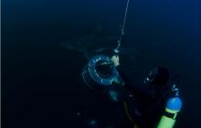 RPA + Mozambik - marzec 2010