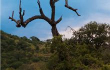 RPA + Mozambik - marzec 2010