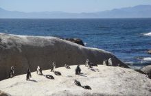 RPA + Mozambik - marzec 2010