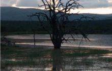 RPA + Mozambik - marzec 2010