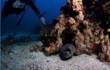 RPA + Mozambik - marzec 2010