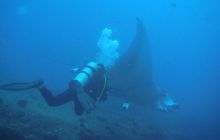 RPA + Mozambik - marzec 2010