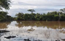 RPA + Mozambik - marzec 2010