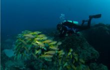 RPA + Mozambik - marzec 2010