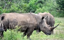 RPA + Mozambik - marzec 2010