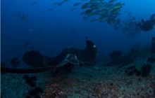 RPA + Mozambik - marzec 2010