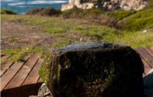 RPA + Mozambik - marzec 2010