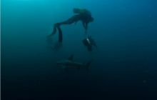 RPA + Mozambik - marzec 2010