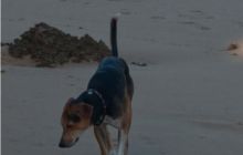 RPA + Mozambik - marzec 2010