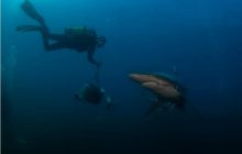 RPA + Mozambik - marzec 2010