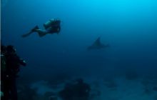 RPA + Mozambik - marzec 2010