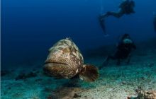 RPA + Mozambik - marzec 2010