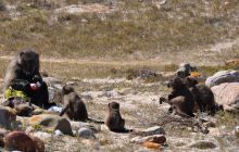 RPA + Mozambik - marzec 2010