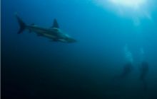 RPA + Mozambik - marzec 2010