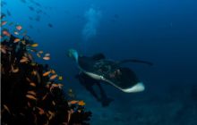 RPA + Mozambik - marzec 2010