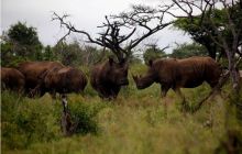 RPA + Mozambik - marzec 2010