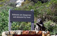 RPA + Mozambik - marzec 2010