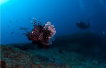 RPA + Mozambik - marzec 2010