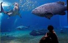 RPA + Mozambik - marzec 2010