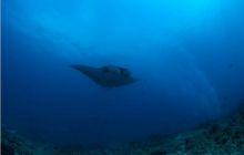 RPA + Mozambik - marzec 2010