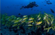 RPA + Mozambik - marzec 2010