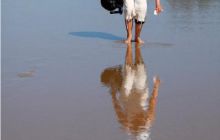 RPA + Mozambik - marzec 2010