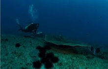 RPA + Mozambik - marzec 2010