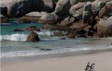 RPA + Mozambik - marzec 2010