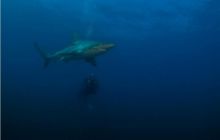 RPA + Mozambik - marzec 2010