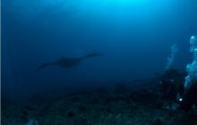 RPA + Mozambik - marzec 2010