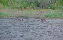 RPA + Mozambik - marzec 2010