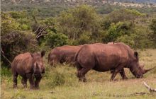 RPA + Mozambik - marzec 2010