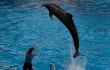 RPA + Mozambik - marzec 2010