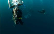 RPA + Mozambik - marzec 2010