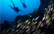 RPA + Mozambik - marzec 2010