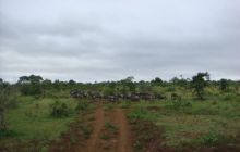 RPA + Mozambik - marzec 2010