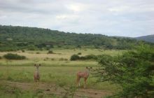 RPA + Mozambik - marzec 2010