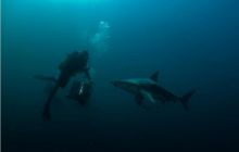 RPA + Mozambik - marzec 2010