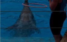 RPA + Mozambik - marzec 2010