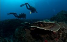 RPA + Mozambik - marzec 2010