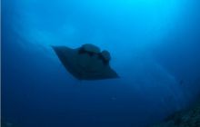 RPA + Mozambik - marzec 2010