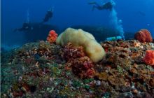 RPA + Mozambik - marzec 2010