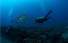 RPA + Mozambik - marzec 2010