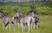 RPA + Mozambik - marzec 2010