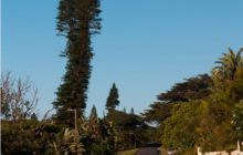 RPA + Mozambik - marzec 2010