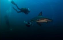 RPA + Mozambik - marzec 2010