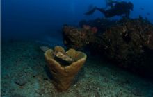 RPA + Mozambik - marzec 2010