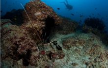 RPA + Mozambik - marzec 2010