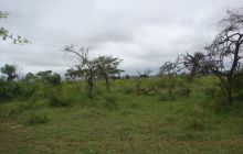 RPA + Mozambik - marzec 2010