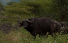 RPA + Mozambik - marzec 2010